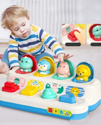Interactive Activity Pop Up Toy for Babies Cause and Effect Toy Baby Development Games Montessori Educational Learning Toys