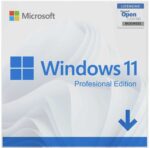 Windows 11 Professional Product Key License